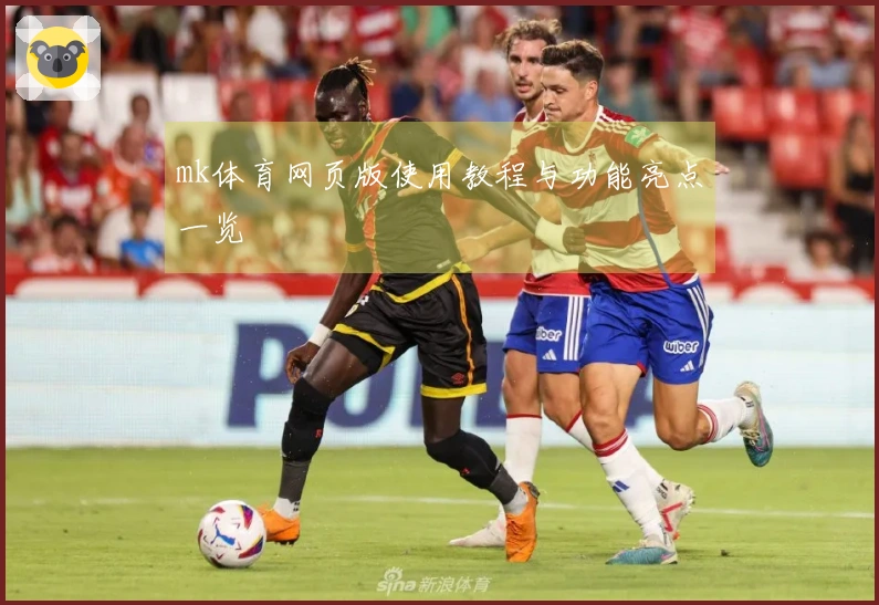 mk体育网页版使用教程与功能亮点一览